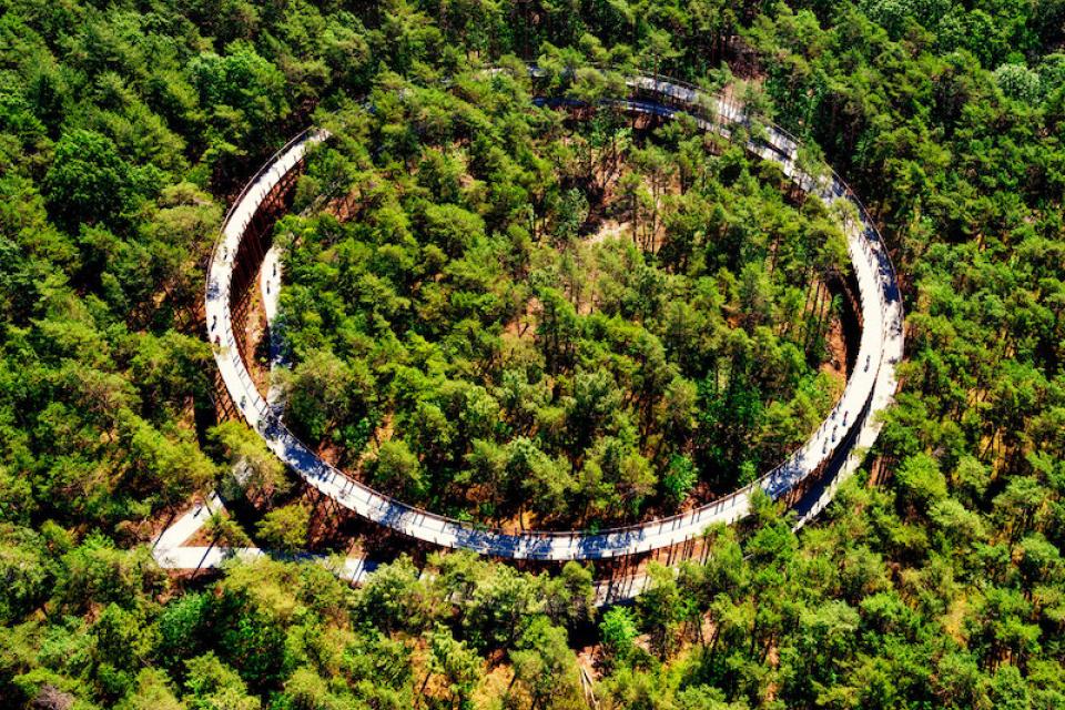 Het bos als landschappelijke opdracht
