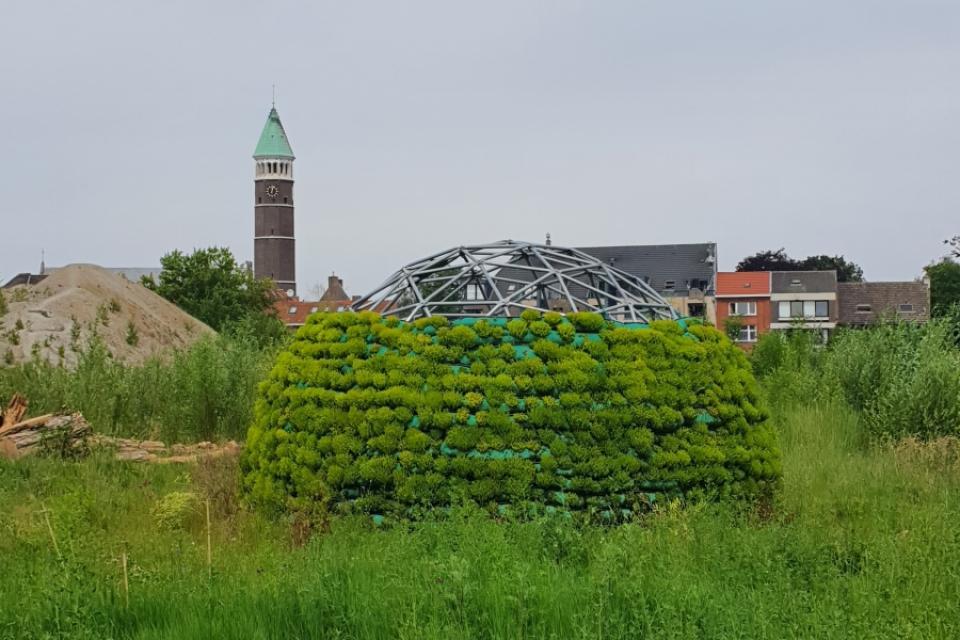 Beesphere, een kruisbestuiving tussen kunst en ecologie 
