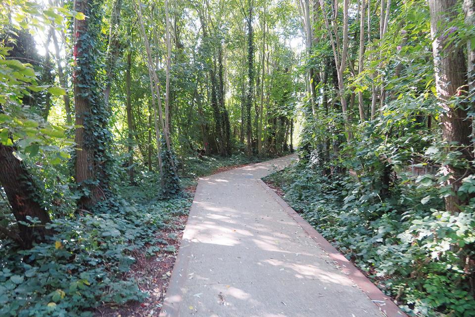 Bloemekenspark in Gent wint Groenaannemer-award 