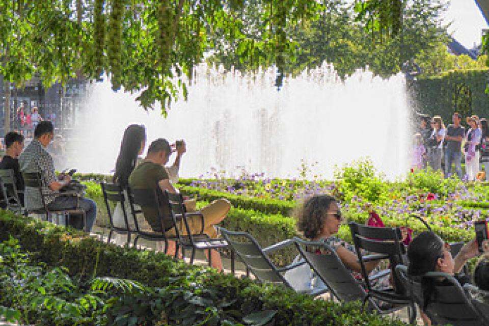 Feiten over de meerwaarde van groen