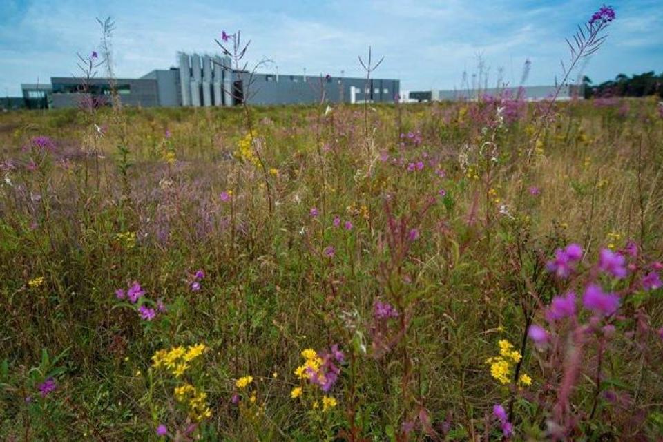 Groene bedrijventerreinen werken beter