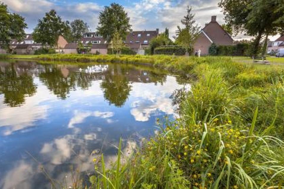 Nieuwe subsidieoproep voor groen-blauw dooraderingsproject