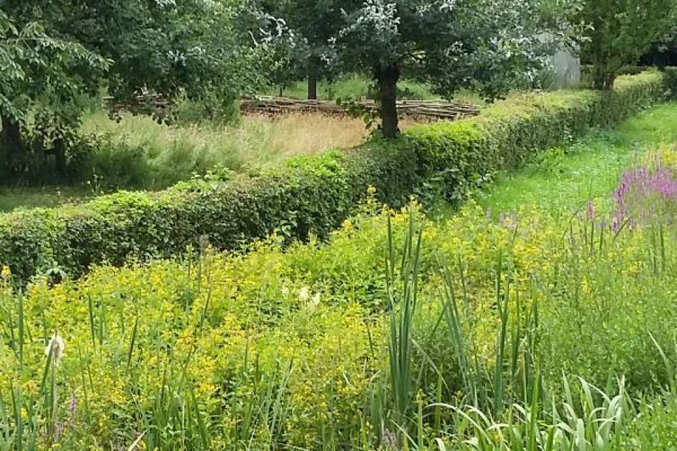 Groeistof / Netwerkmoment voor professionals uit de ecologische groensector