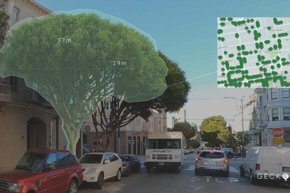 Hasselt inventariseert 25.000 laanbomen met scanwagen en artificiële intelligentie