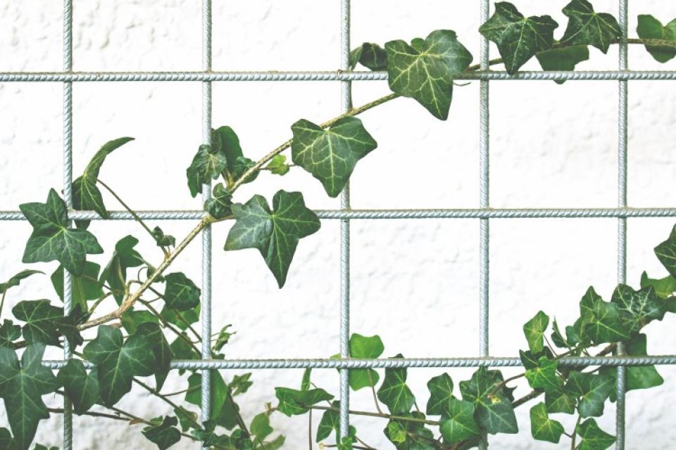 Bouwmeester Label voor ‘groene gevangenissen’