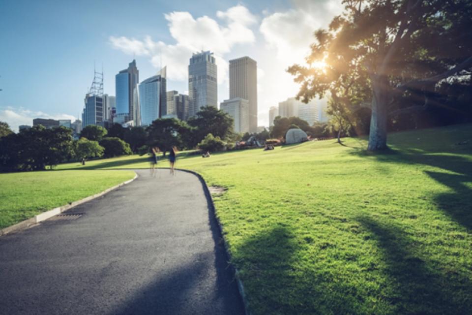 50 shades of green / Over de waarde van stedelijk groen
