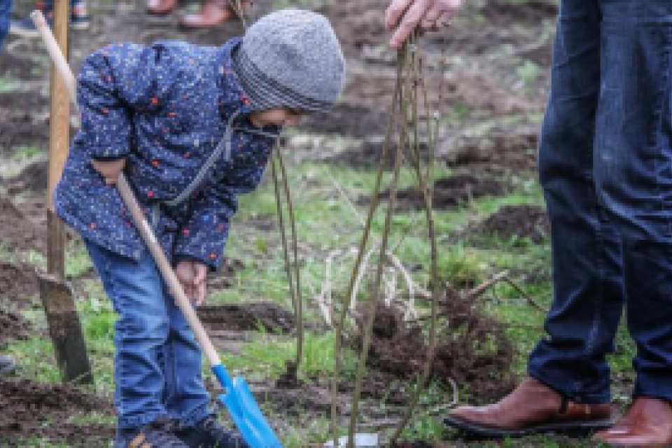 Ieper en Agentschap voor Natuur en Bos planten 1,3 hectare bos 