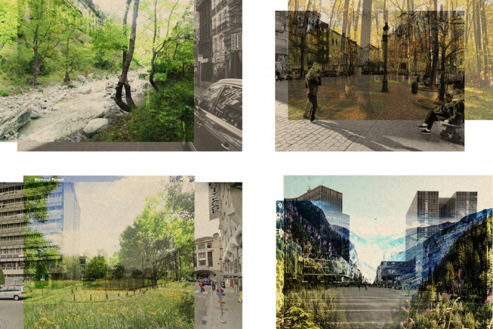 Vier nieuwe bostypes voor Brussel