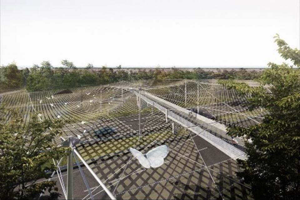 ‘The Butterfly Effect’ – een ultralicht web over de weg