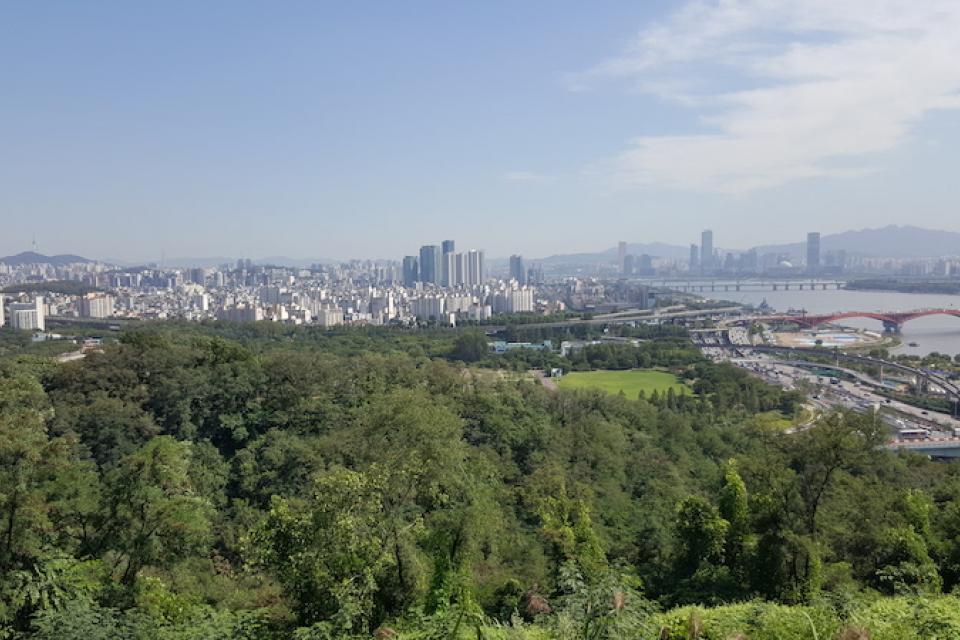 KULeuven / Lezing "Urbanising the Forest, Reforesting the City? – Emerging forest urbanisms and discourses in urban forestry