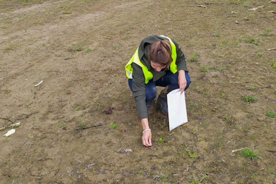 Plantentuin Meise en Natuurpunt zamelen zaden in van bedreigde plantensoorten