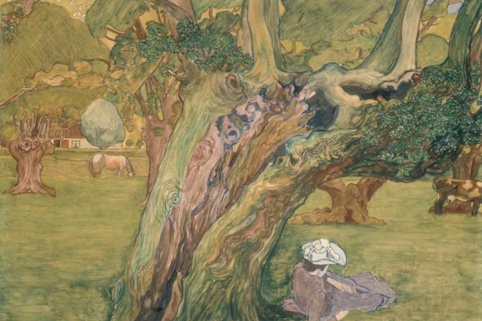 Tentoonstelling ‘Diepgeworteld’ is een ode aan de boom