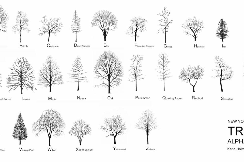 Het New York City bomenalfabet