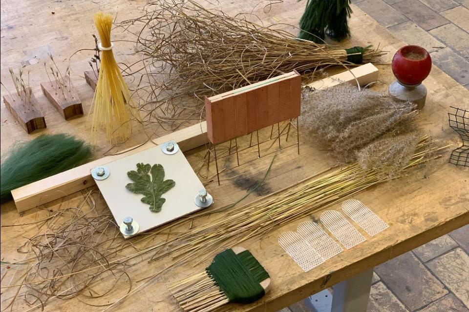 Onderzoek naar stadsnatuur Kortrijk