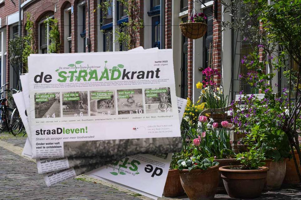 De StraaDkrant / oplossing ligt op straat