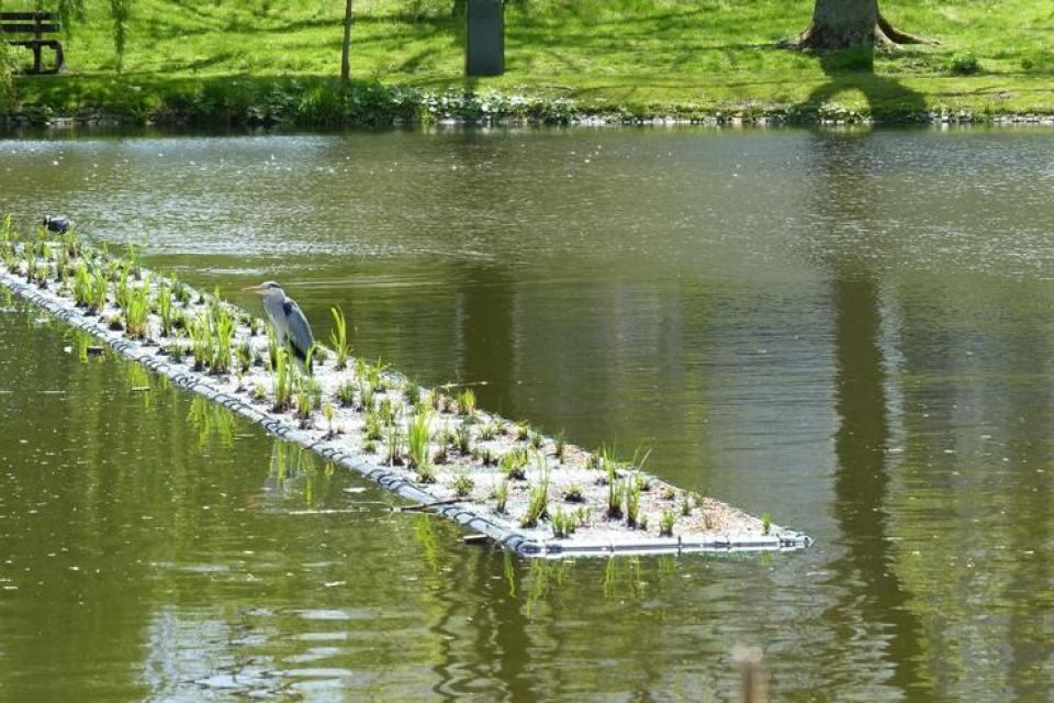 Gent experimenteert met drijvende groeneilanden 