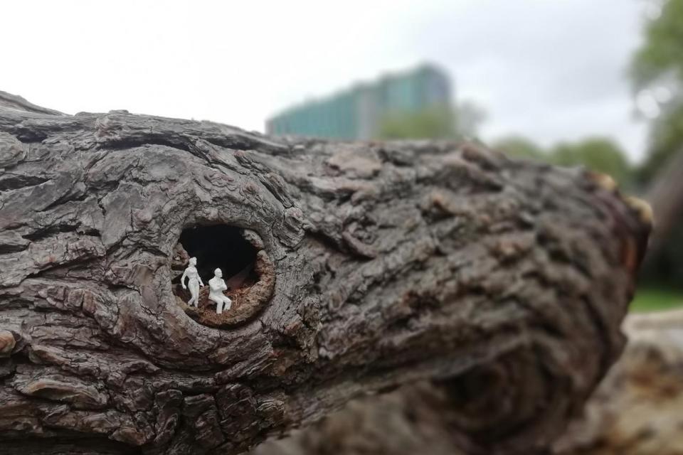 Bouwmeester Label voor ‘Stedelijke natuur’ 