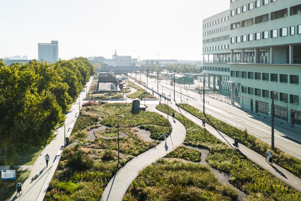 Antwerpen / Een groene rand langs de dokken