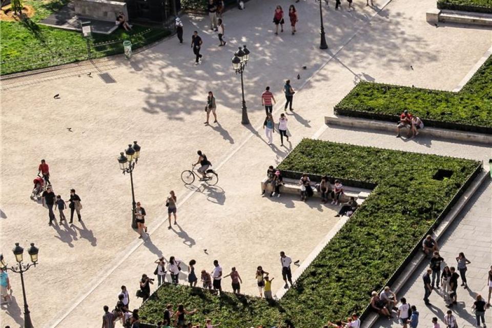 Hoe groen zijn onze steden? 