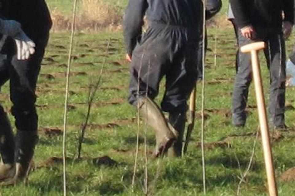 2750 bomen voor Machelen 