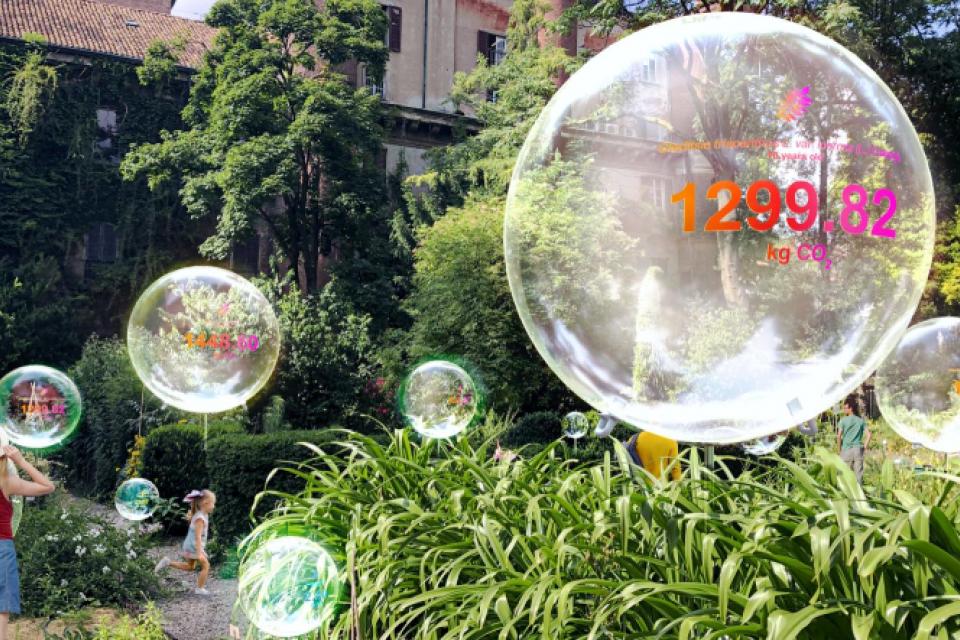 Expo / Hoe bomen CO2 opslaan