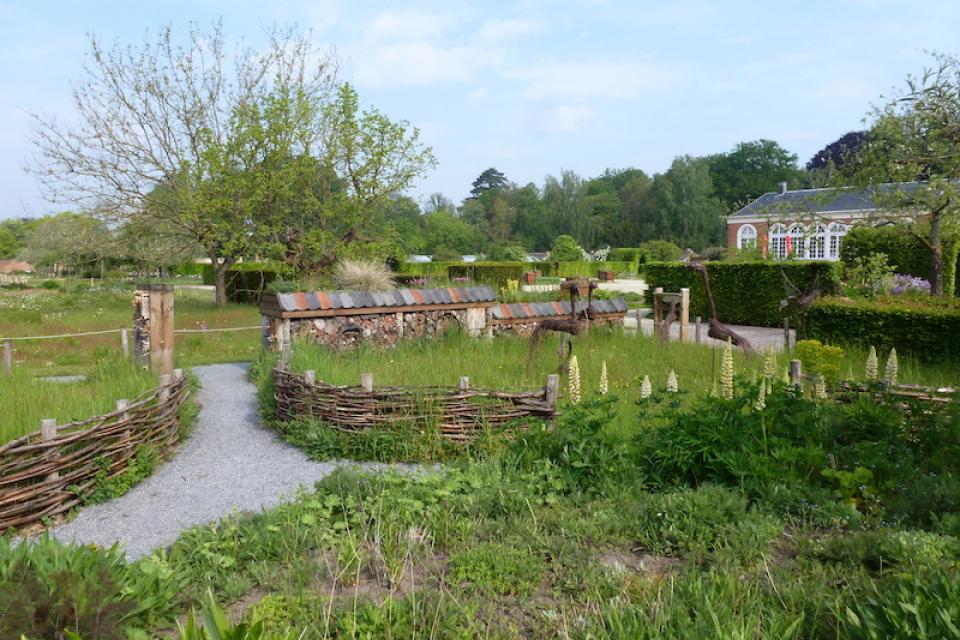 15 miljoen subsidies voor natuurprojecten in Vlaanderen