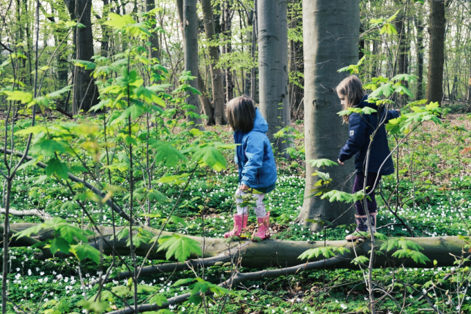 Netwerk natuur en gezondheid opgericht