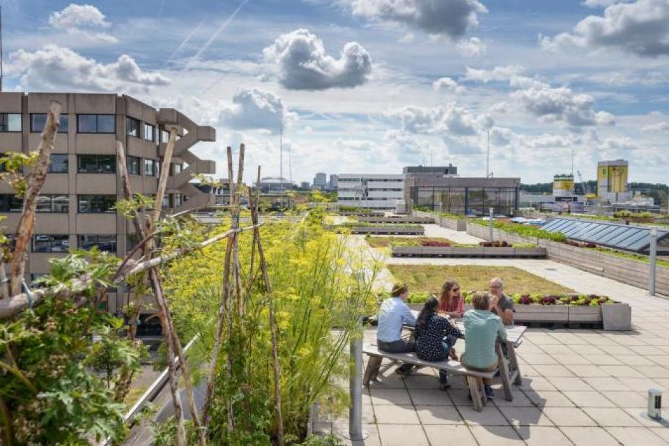 Studie / Groen draagt bij aan welzijn Amsterdammers