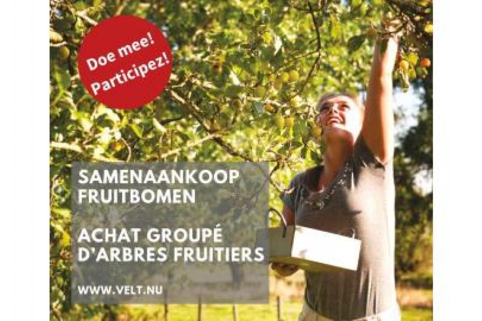 Samenaankoop Velt: meer fruitbomen in de stad