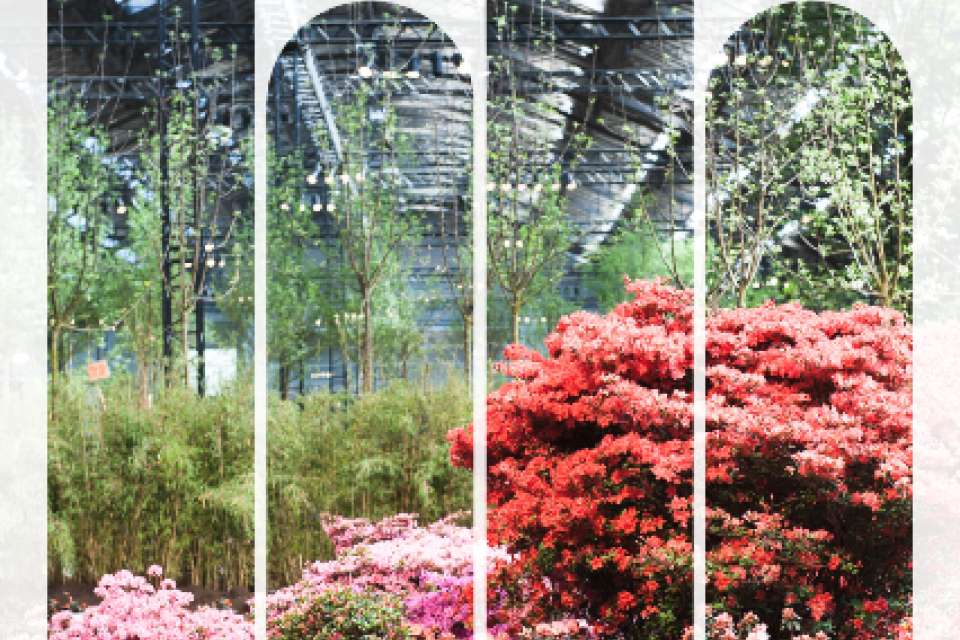 Floraliën / Stad Gent zet de bloemetjes buiten én binnen