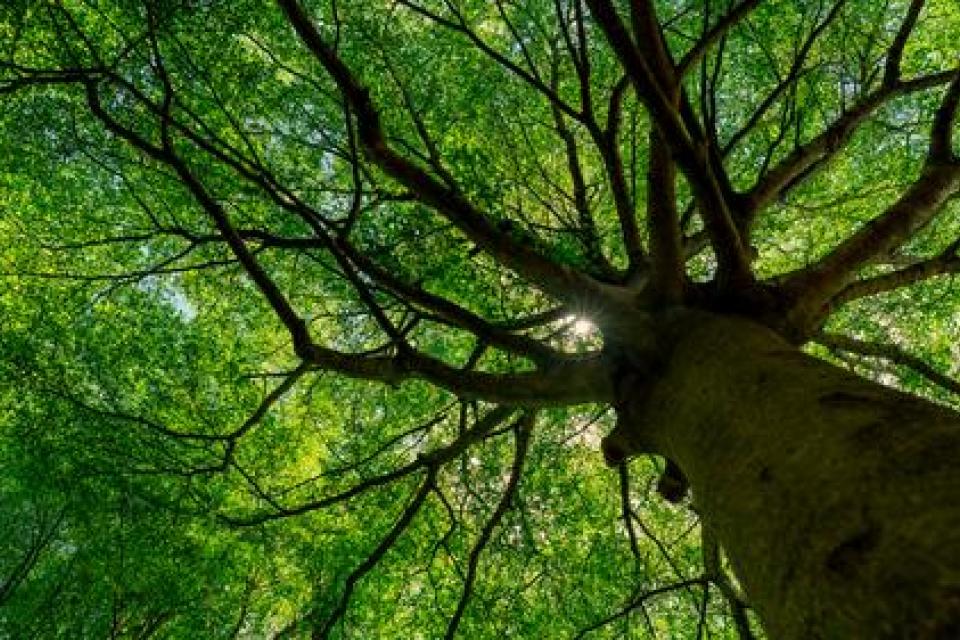 Inspiratiedag ecosysteemdiensten 