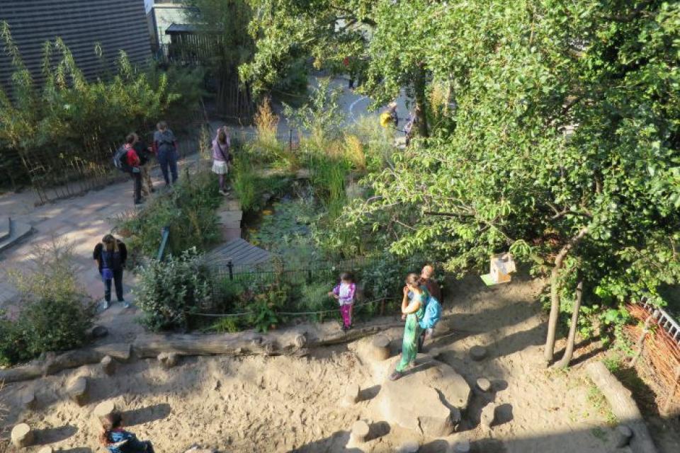 Vergroening van schoolpleinen: investering waard, mits zorgvuldig gepland