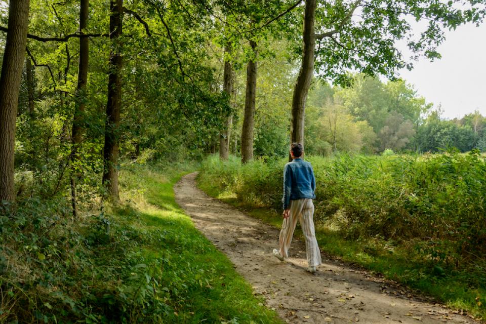35 hectare nieuw bos dicht bij Gent