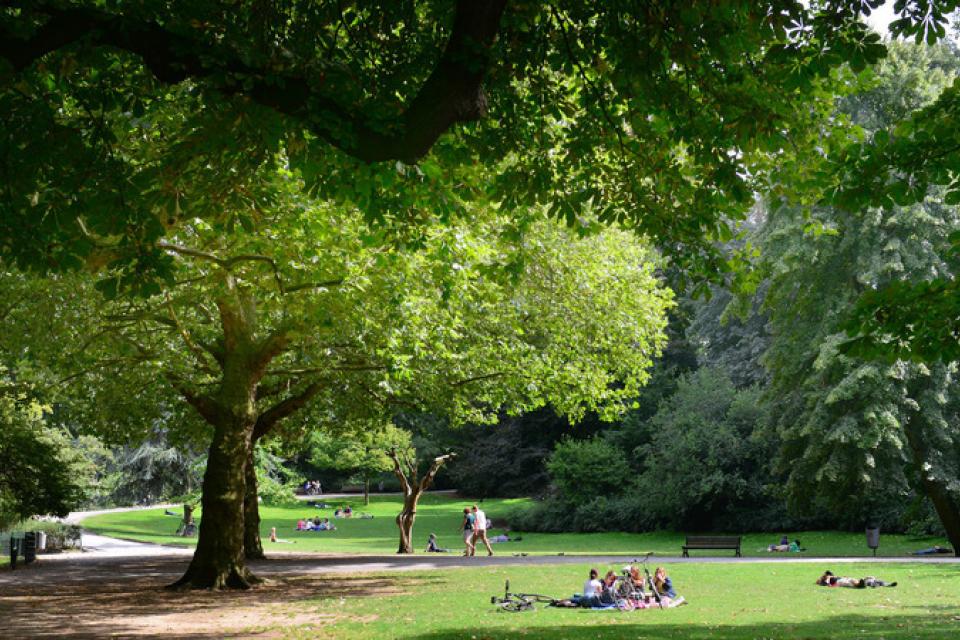 OMGEVING wint wedstrijd voor de herwaardering van het stadspark van Antwerpen