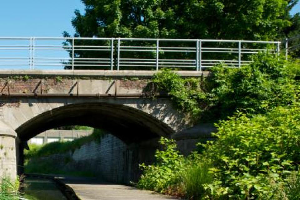 Natuur en Bos lanceert ‘innovatietraject rond stedelijke natuur’