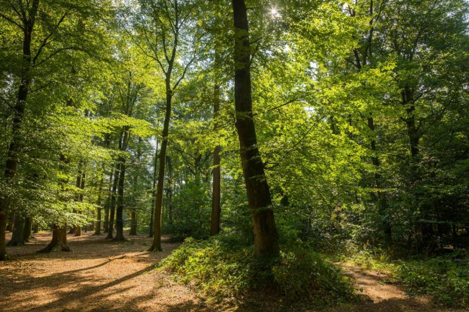 Provinciedomein Tillegembos in Brugge wordt uitgebreid met 2,2 ha 