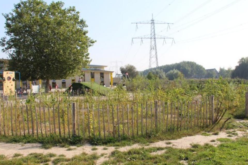 Temperatuur in Tiny Forest op hete dagen wel 20 graden lager dan op straat