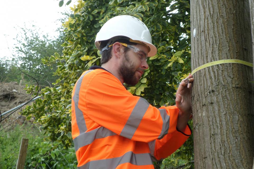 Publieke consultatie Technical standards in tree work (TEST)