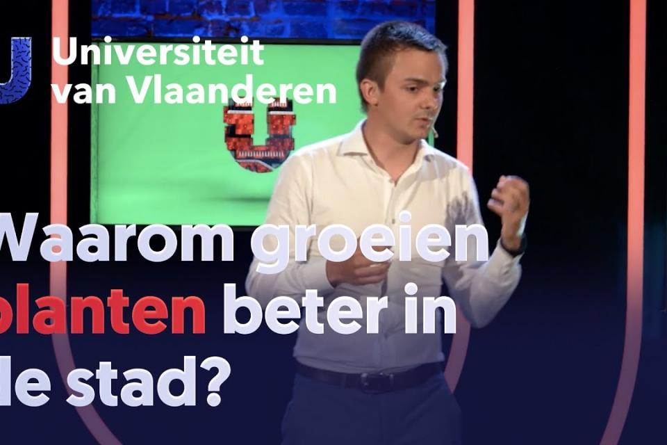 Waarom groeien planten beter in de stad?