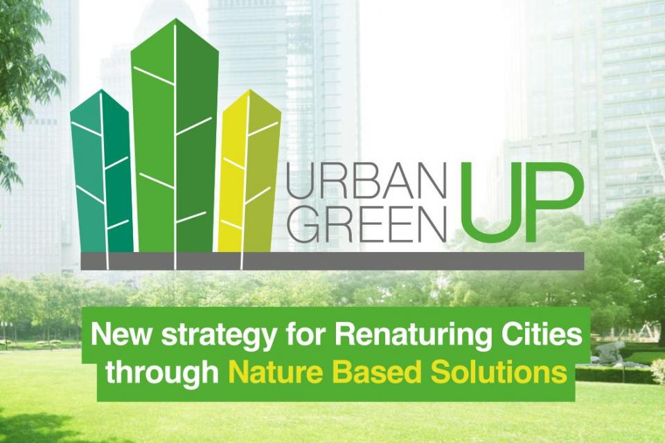 Praktische gids over ‘op de natuur gebaseerde oplossingen’ voor steden