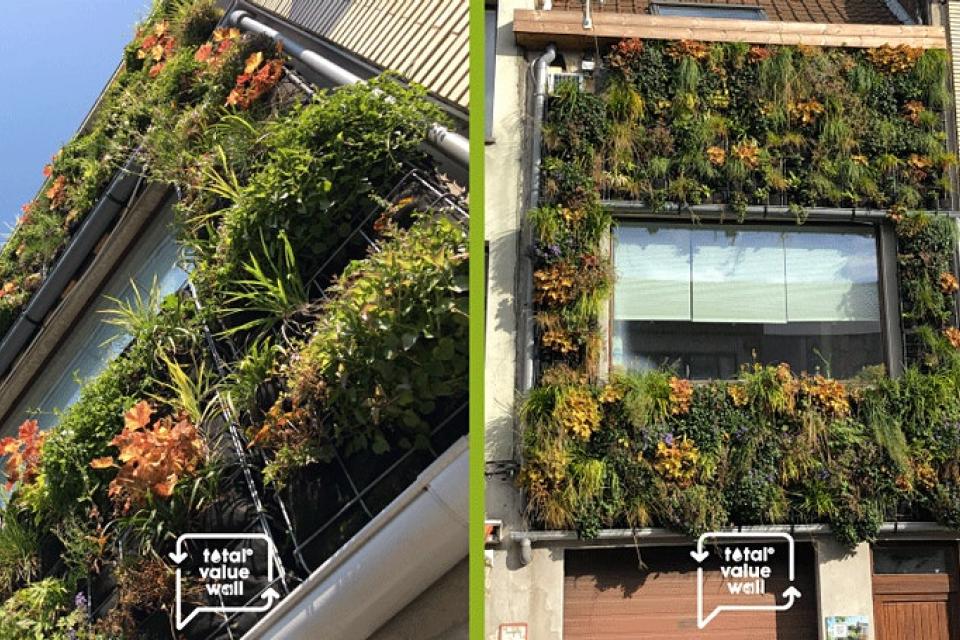 Slotwebinar van ‘Total Value Wall’