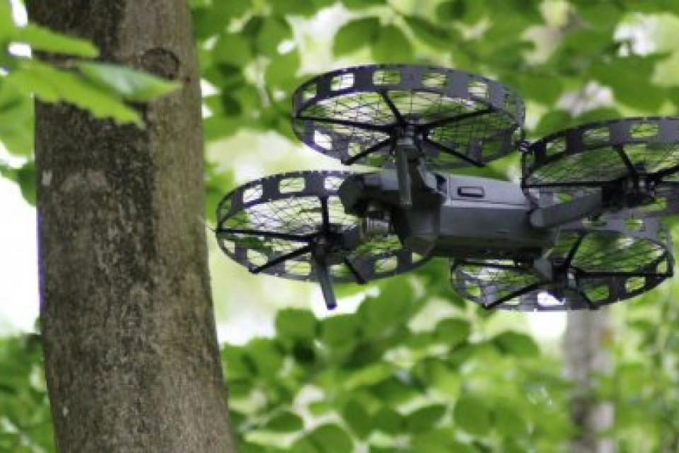 Conditiebepaling van stadsbomen met de inzet van drones