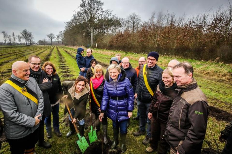 4.000 extra bomen en struiken in Zedelgem