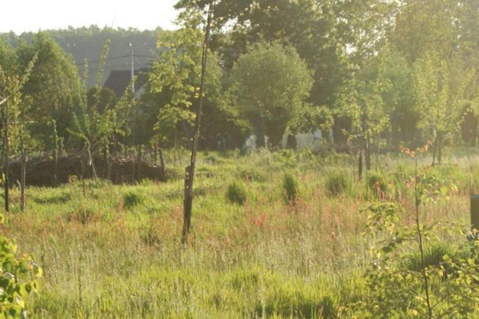 Webinar: Voedselbossen: wat zegt de wet?