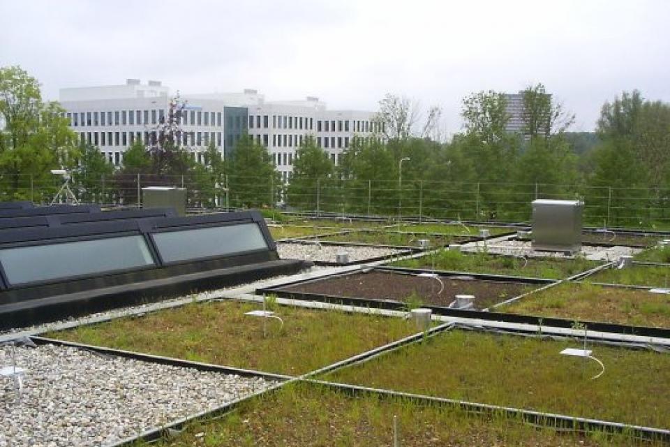 Watermanagement in de stad: minder stenen, meer groen
