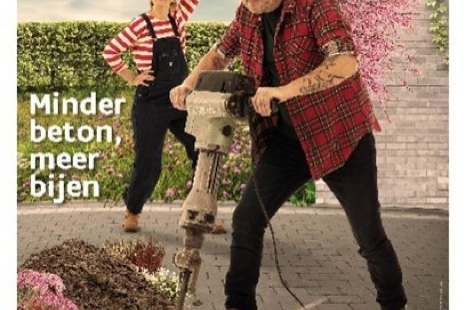 Vlaams actieplan voor wilde bestuivers