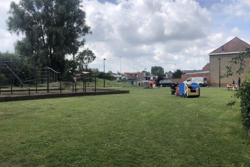 Maak je buurt groener met een Wonderwoudje