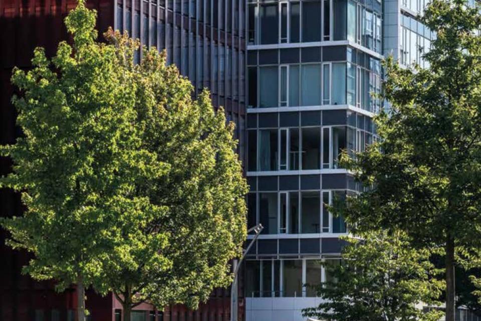 Dit zijn de 65 beste Duitse toekomstbomen voor de stad